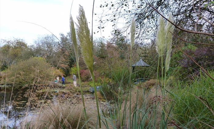 Supervised children exploring the fauna of the lake with nets and a bowl, grasses in the foreground